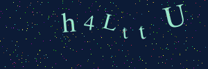 Validation image